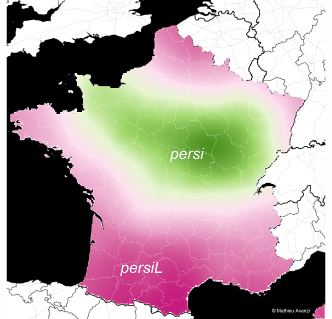 prononciation persil